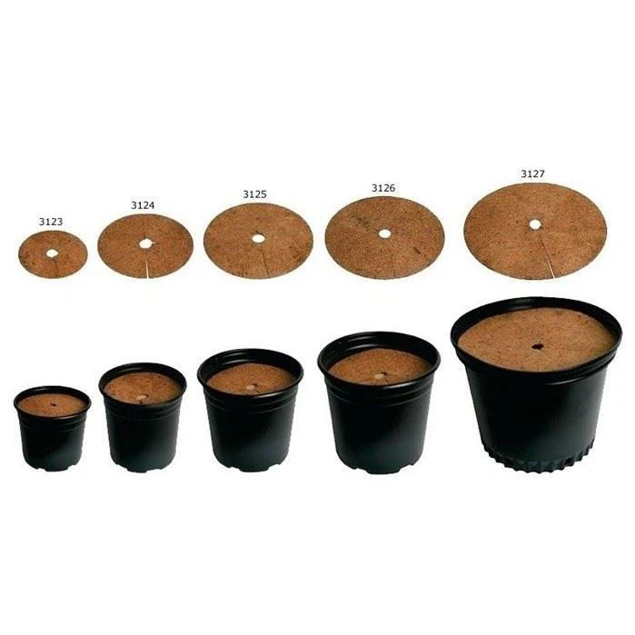 Hemp Plant Microgreens Grow Mat