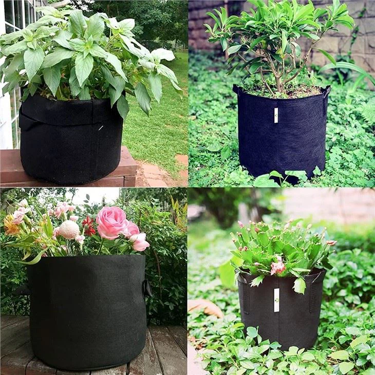5 Gallon Fabric Plant Grow Bag